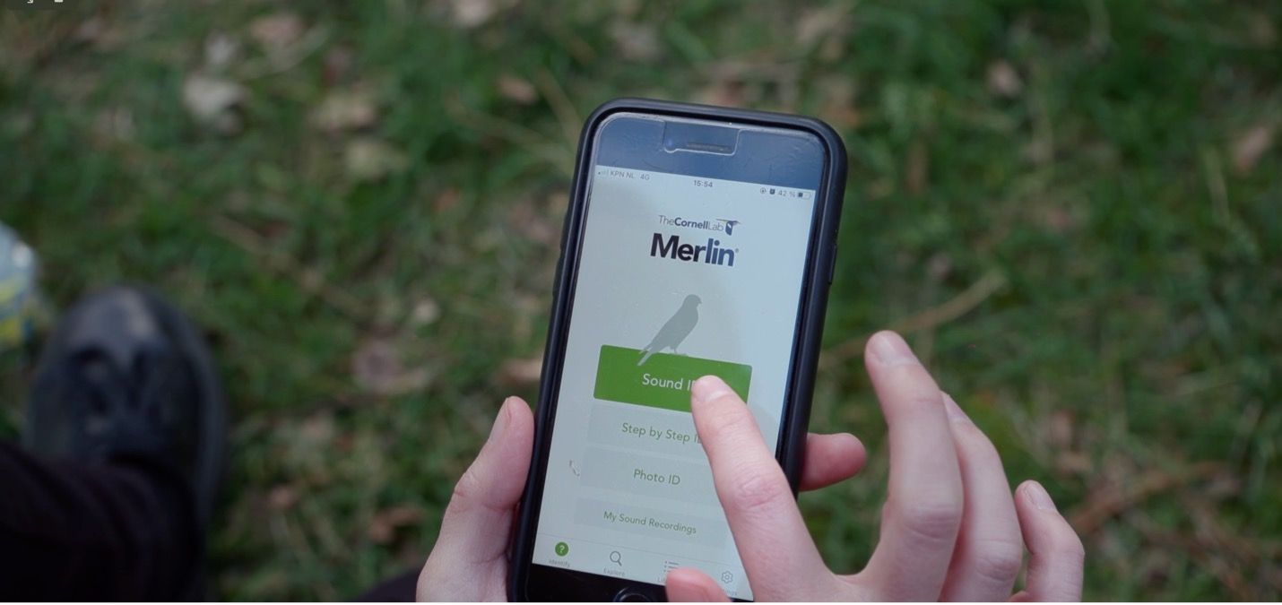 Imagen de la película Smart Forests en la que se muestra la aplicación Merlin para identificar aves. Cambridge, Reino Unido. Mind the Film junto con Smart Forests, 2025.