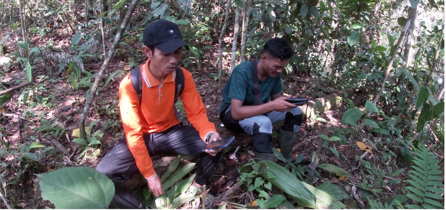 स्मार्ट फॉरेस्ट्स फिल्म में दो वन गश्ती दल के सदस्यों को एवेन्ज़ा मैपिंग एप्लीकेशन का उपयोग करते हुए दिखाया गया है। बुजांग राबा, इंडोनेशिया। स्मार्ट वनों के साथ फिल्म पर ध्यान दें, 2025.