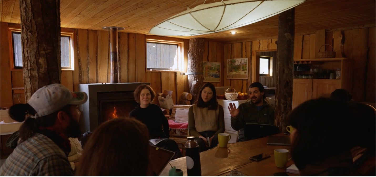 Imagen de película Smart Forests que muestra a los participantes de la Escuela de Campo en el área de conservación Bosque Pehuén. La Araucanía, Chile. Mind the Film junto a Smart Forests, 2025.