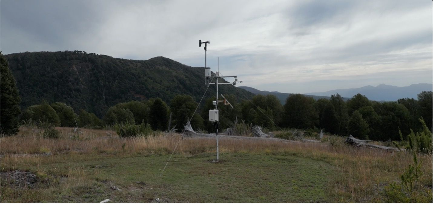 Imagen de la película Smart Forests de la estación meteorológica en el área de conservación Bosque Pehuén. La Araucanía, Chile. Mind the Film junto a Smart Forests, 2025.
