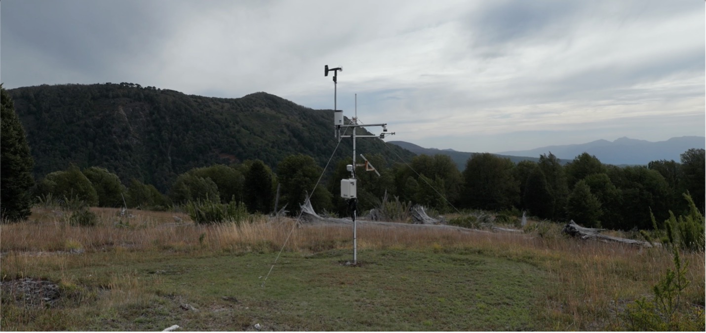 स्मार्ट फॉरेस्ट्स फिल्म में बोस्के पेहुएन संरक्षण क्षेत्र में मौसम स्टेशन दिखाया गया है। अराउकेनिया, चिली. स्मार्ट वनों के साथ फिल्म पर ध्यान दें, 2025.