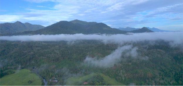 Un dron del proyecto Smart Forests muestra una zona boscosa en Bujang Raba, Indonesia. Yuti Ariani Fatimah junto a Smart Forests, 2023.