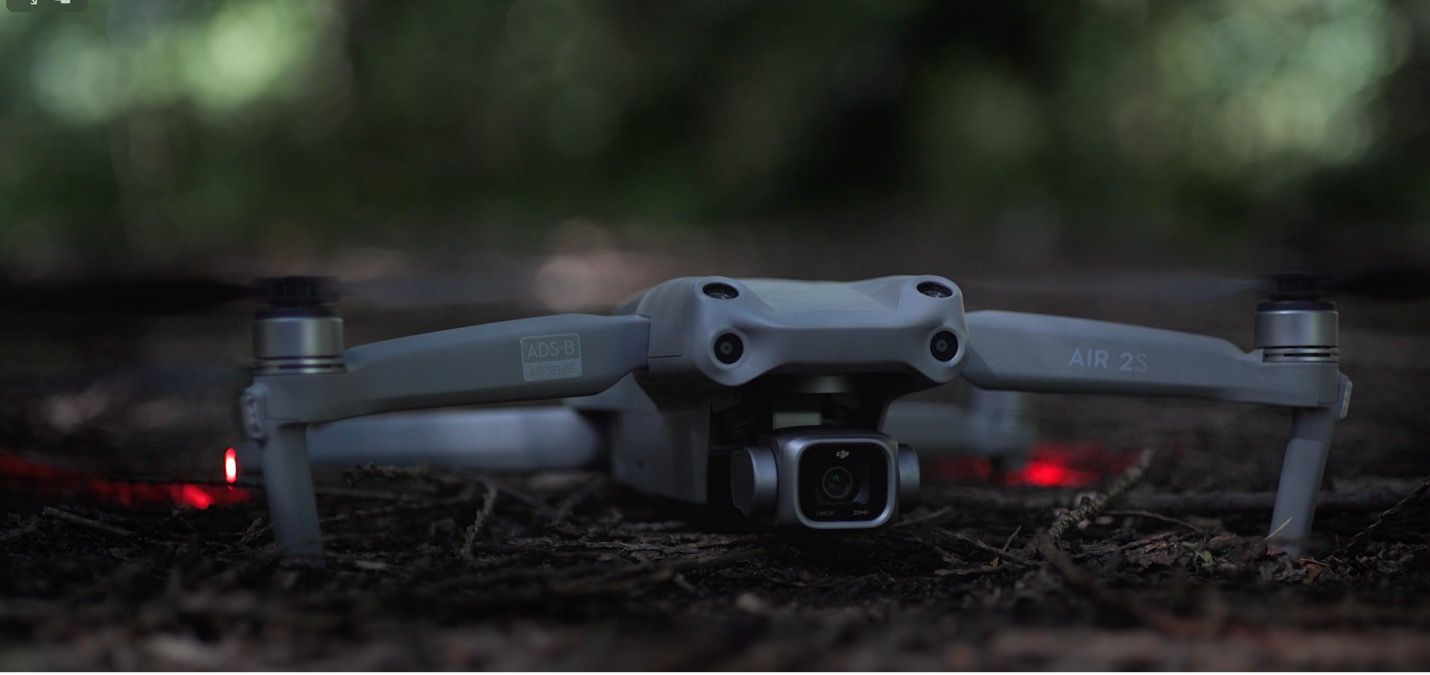 Film Smart Forests yang menunjukkan penggunaan drone di lingkungan hutan. Cambridge, Inggris. Mind the Film dengan Smart Forests, 2025.