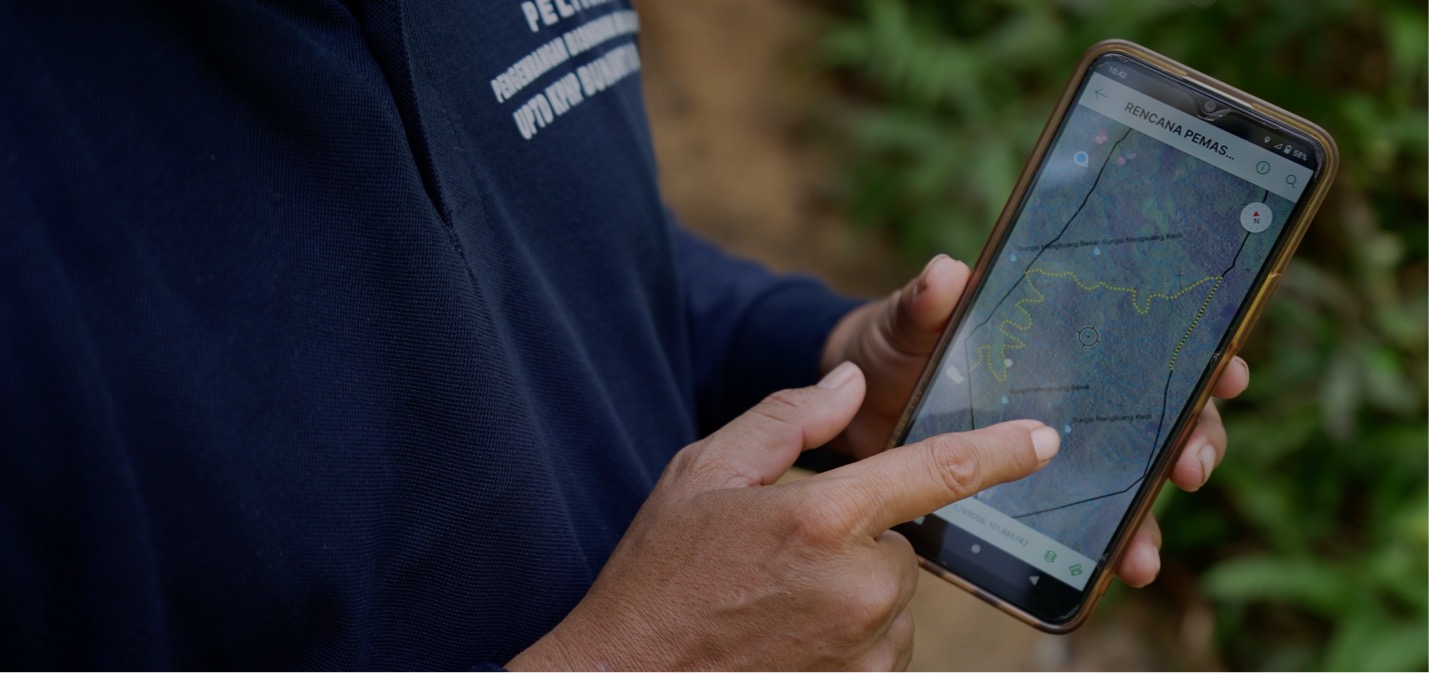 स्मार्ट फॉरेस्ट्स फिल्म में बुकीट बारिसन वन और एवेन्ज़ा ऐप का उपयोग दिखाया गया है। बुजांग राबा, इंडोनेशिया। स्मार्ट वनों के साथ फिल्म पर ध्यान दें, 2025.